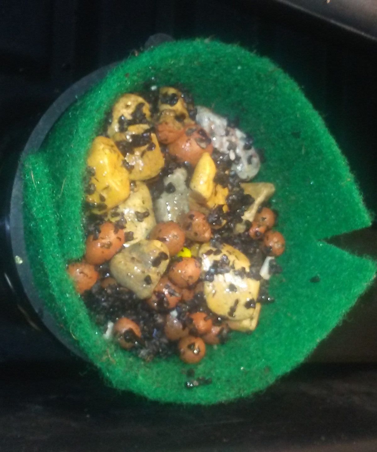 DIY Cheap Bio-Filter for Aquarium