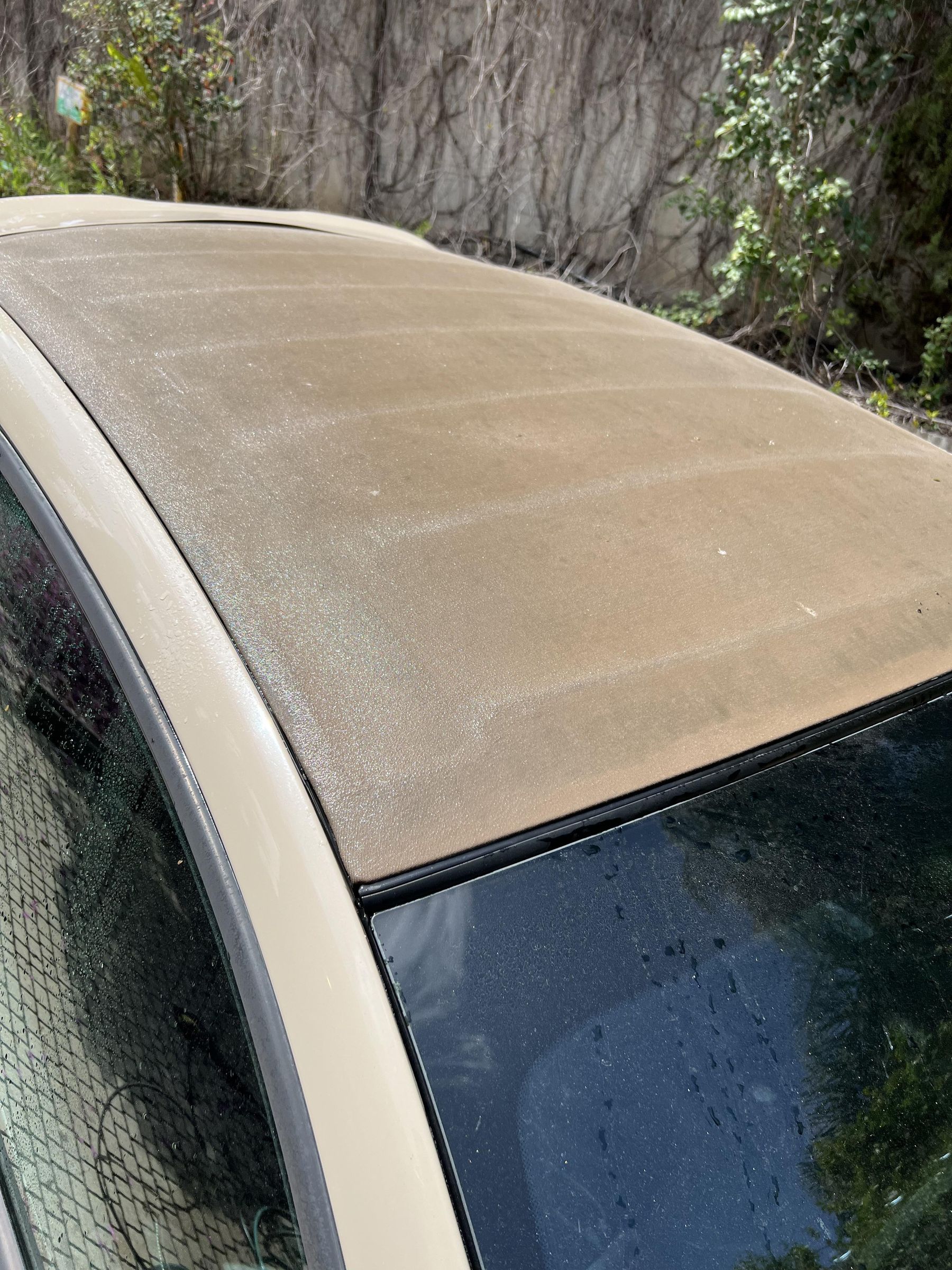 Cleaning Mold Off a Soft Convertible Top 6 Steps (with Pictures) Instructables