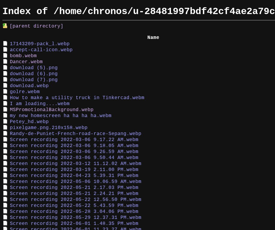 How to View Your File Directory on a Chromebook