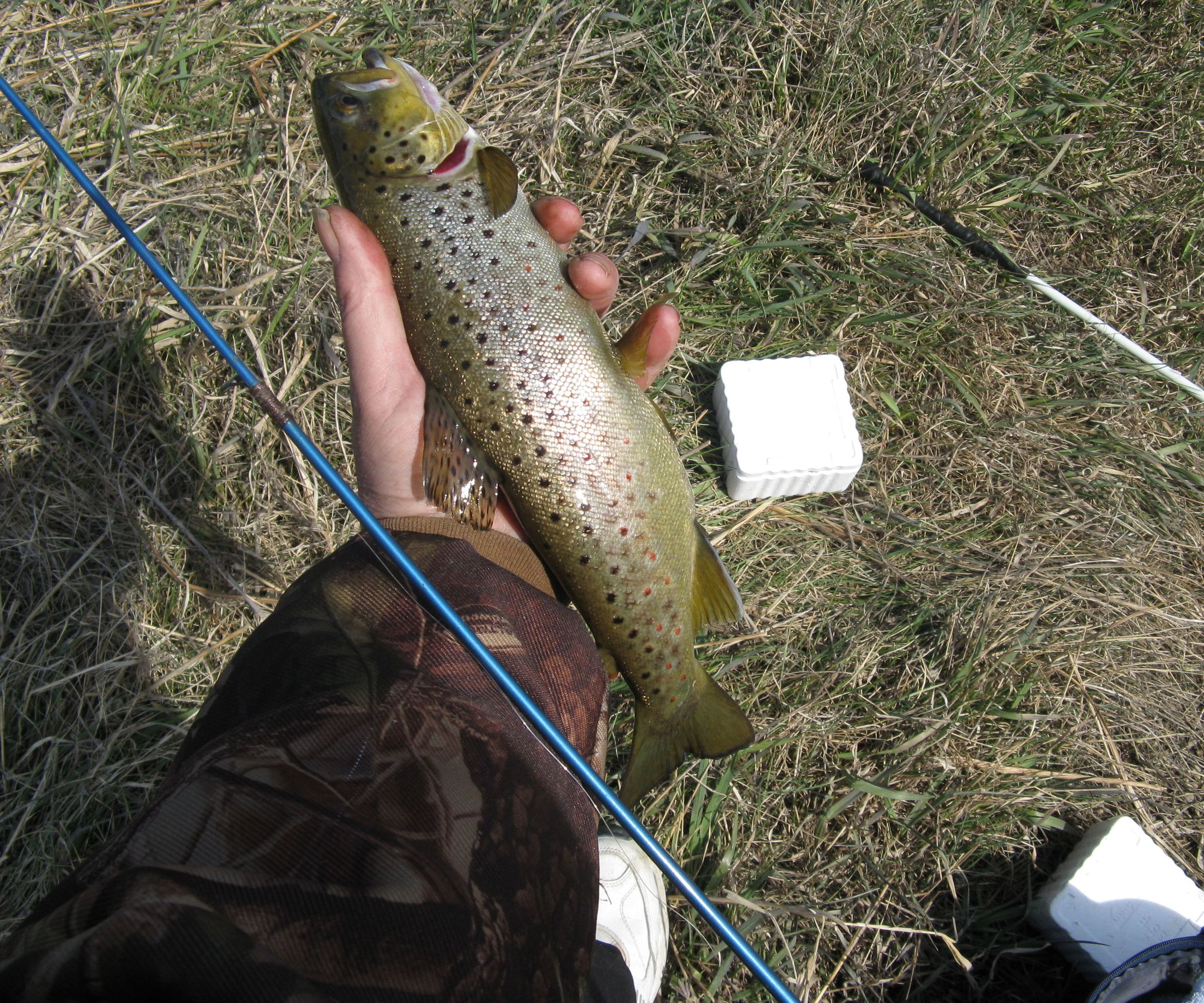 Truckers Trout Breakfast
