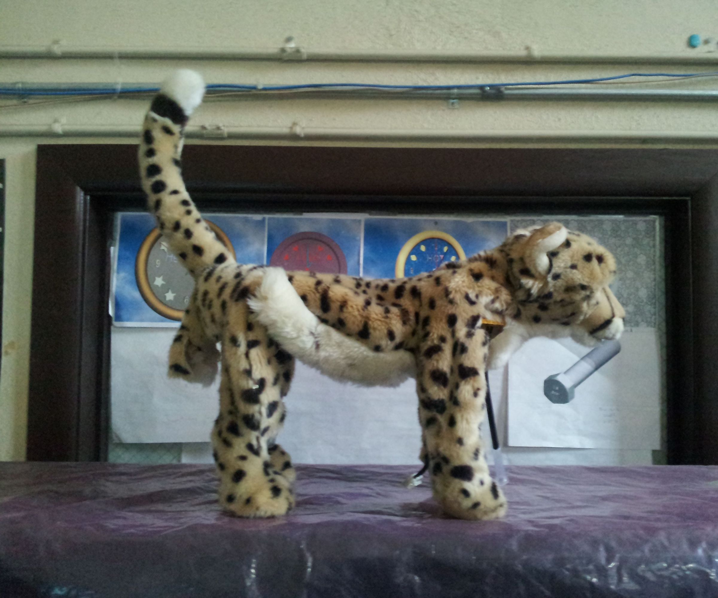 How to Make Your Own Robot Cheetah 