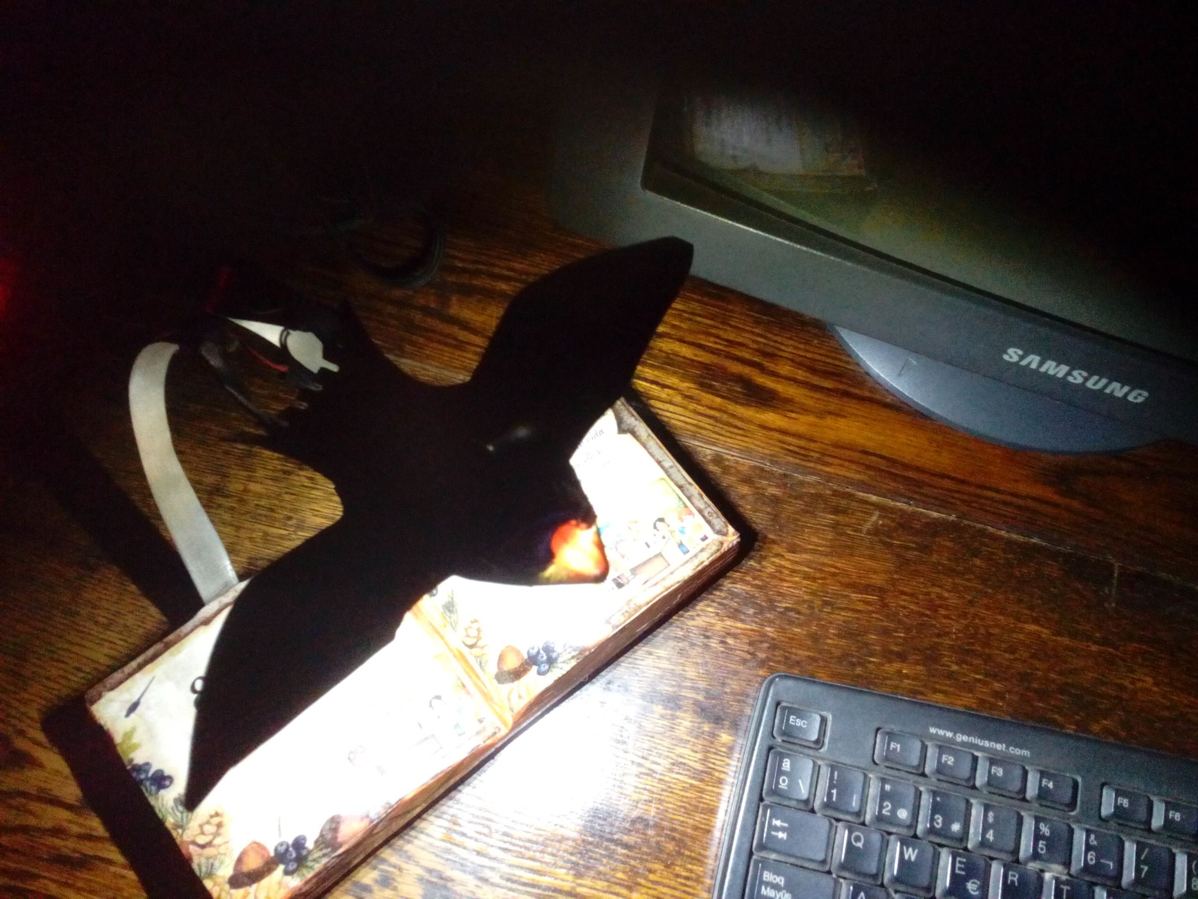 Simbolic Wooden Book