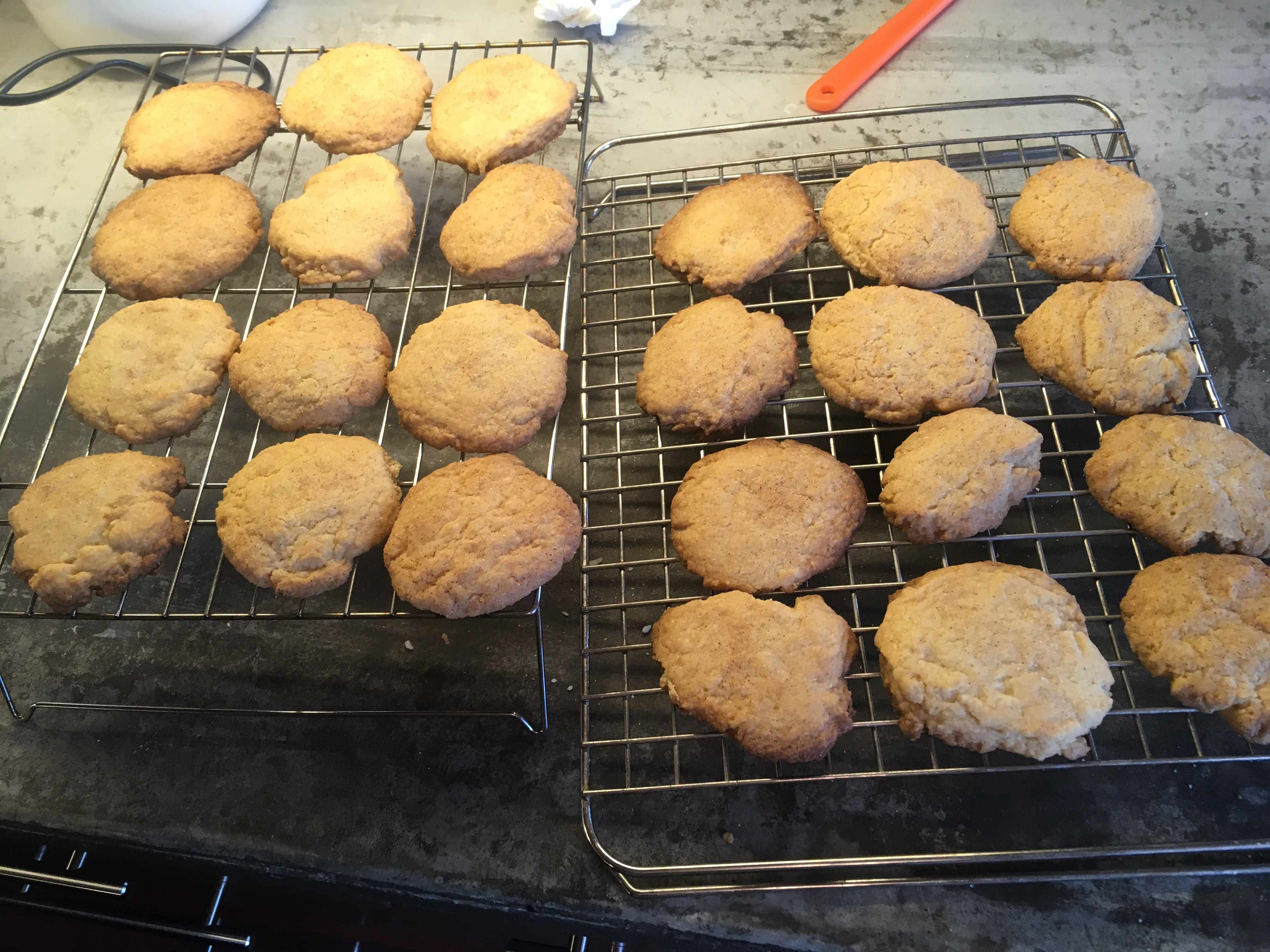 How to Make CinnamonSugar Snickerdoodles 9 Steps Instructables