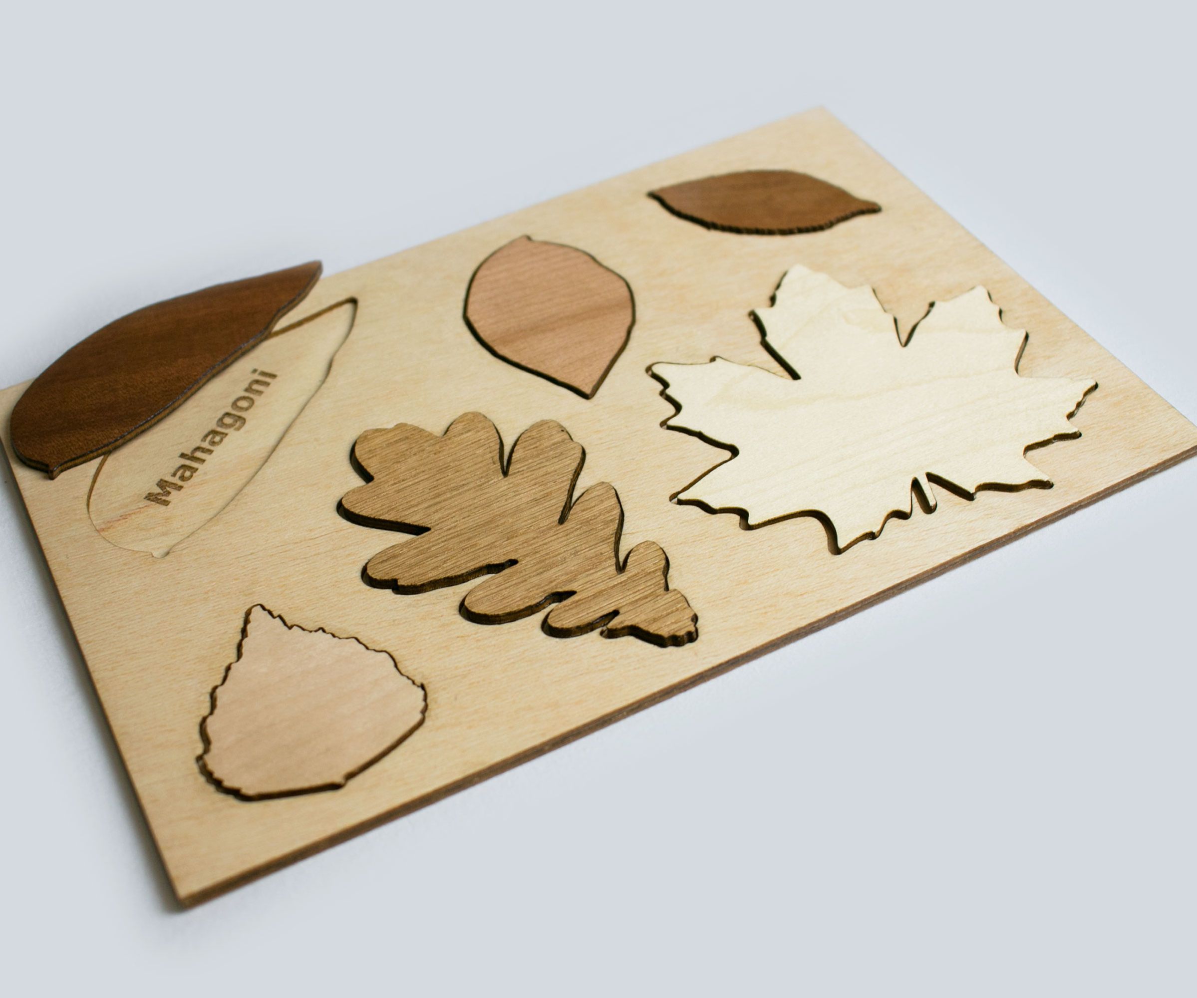 Leaf Puzzle