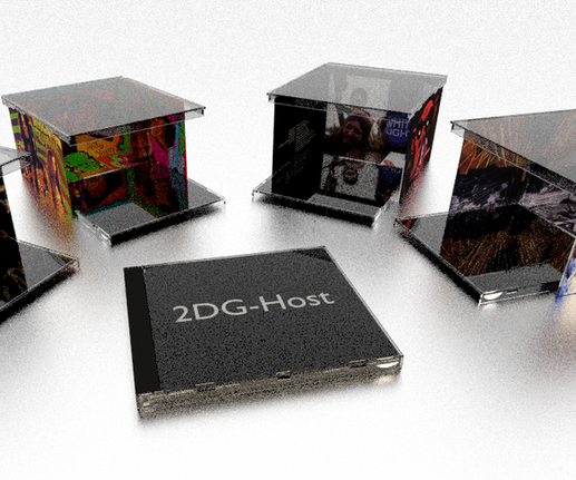 2DG-Host. Have You Ever Seen A Ghost?