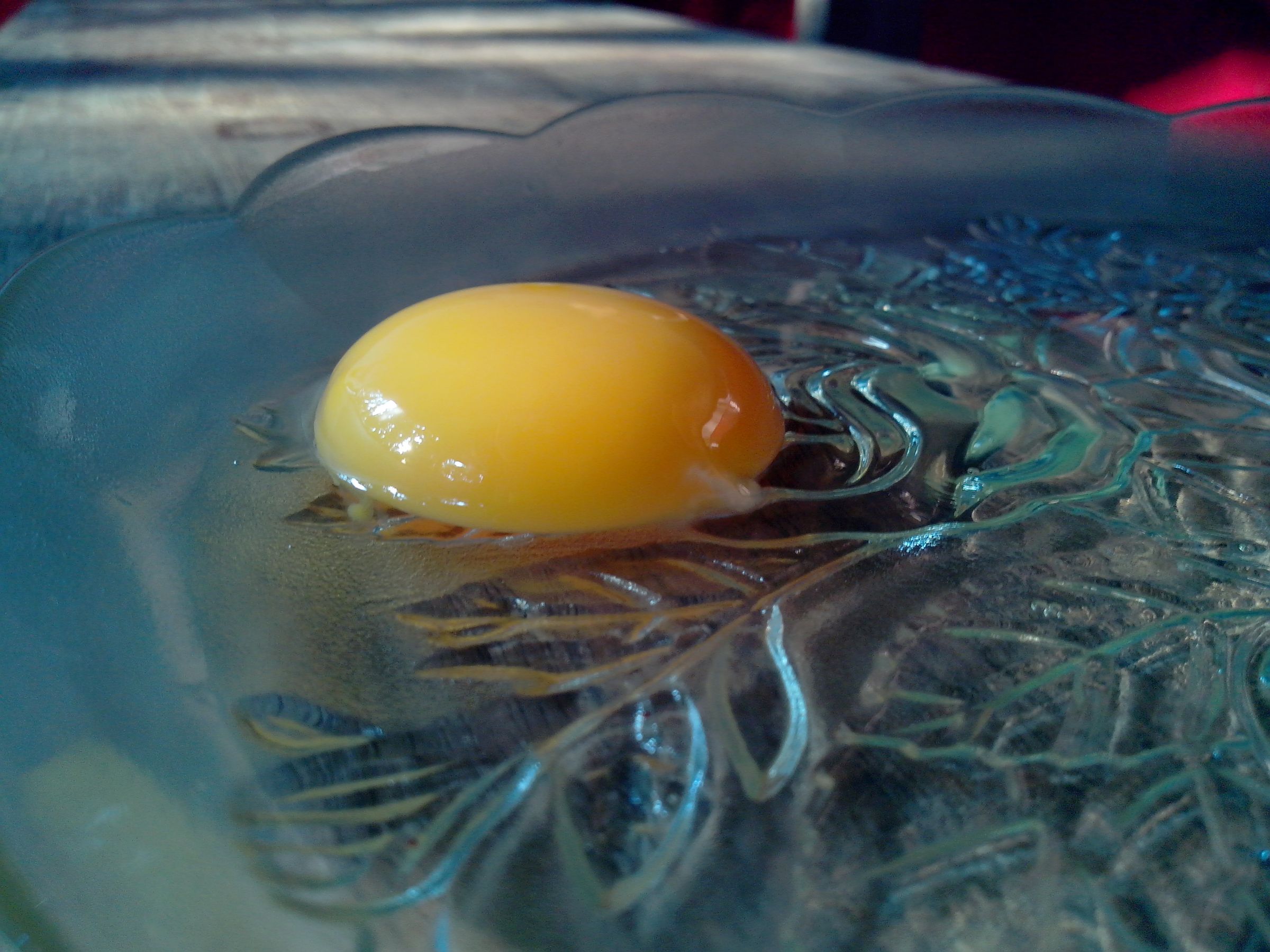 Easiest Way to Separate Egg White. Using a PET Bottle. 6 Steps