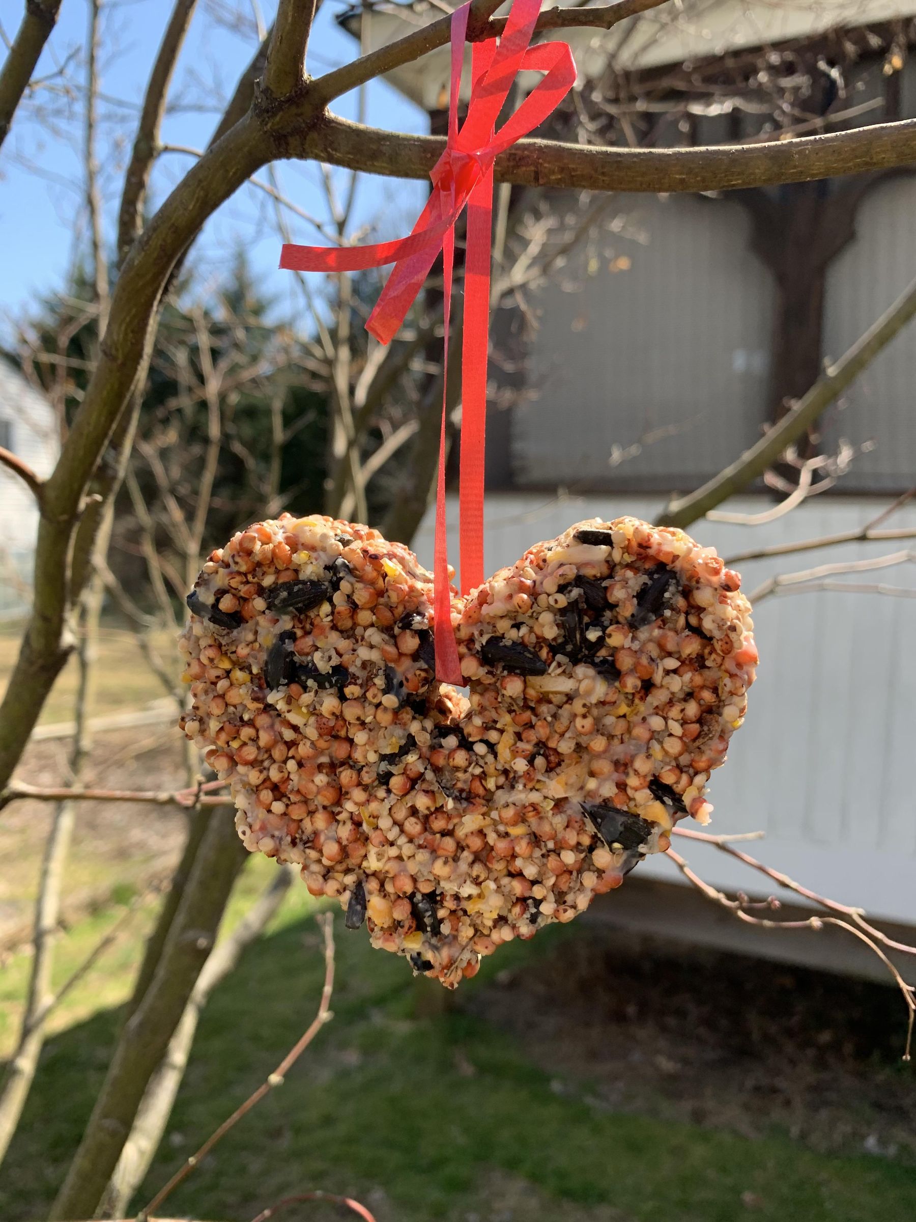Hanging Bird Seed Hearts : 8 Steps (with Pictures) - Instructables, image size:768x1024