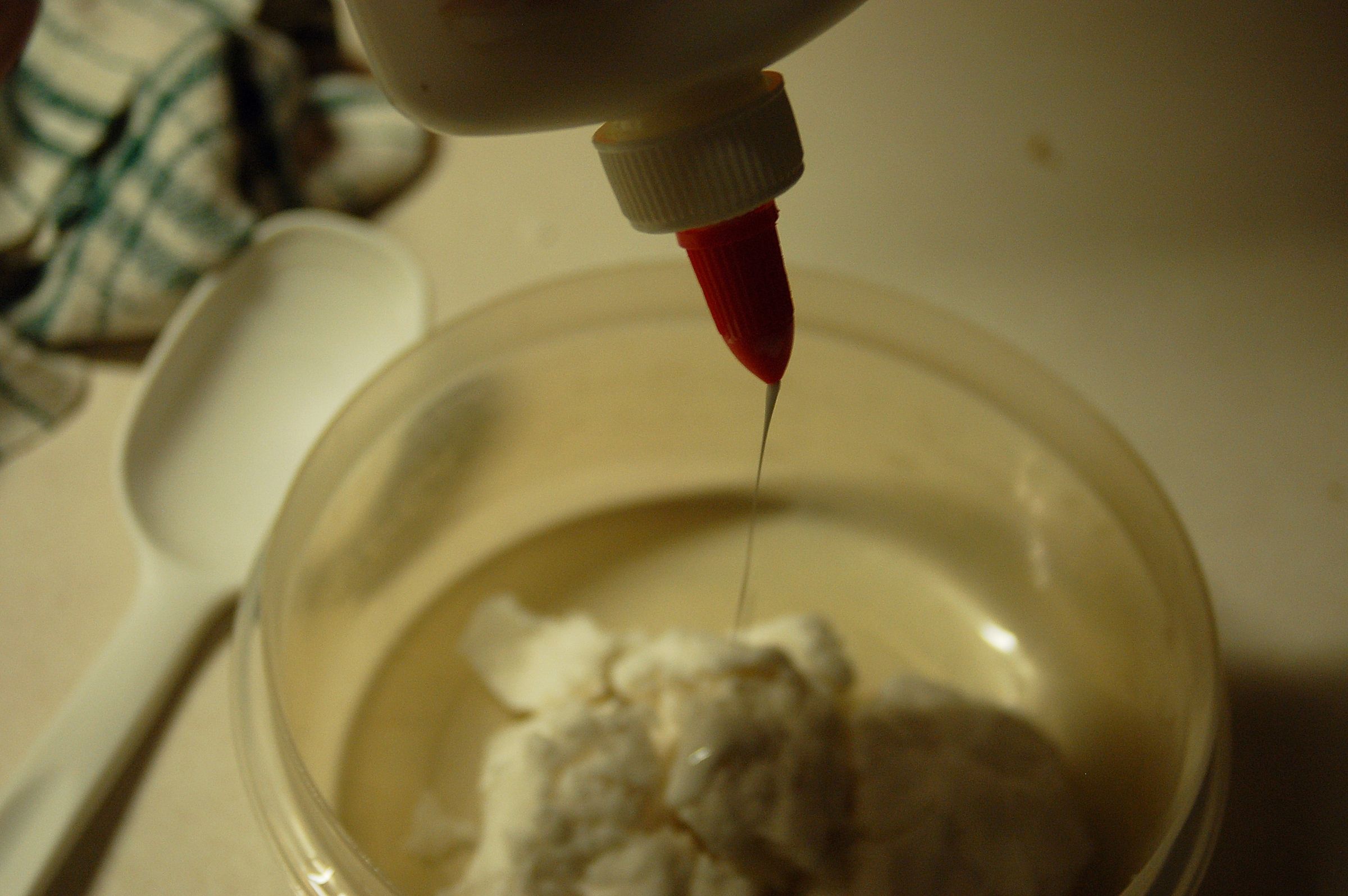 Make Paper Mache Pulp : 5 Steps - Instructables
