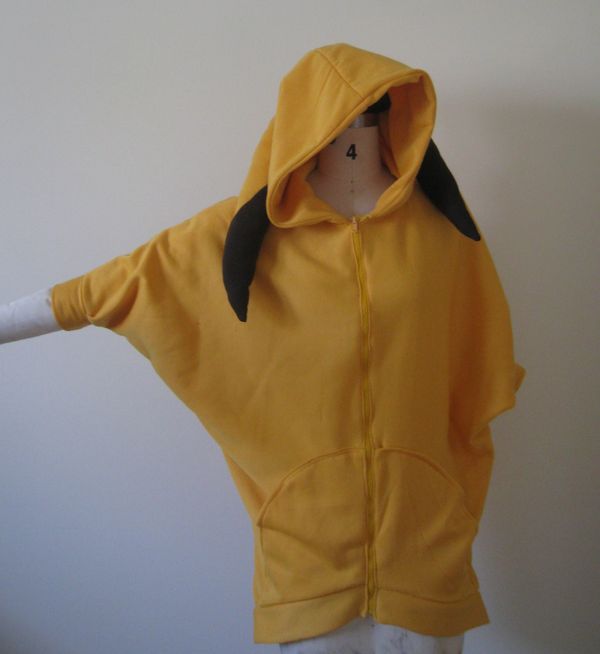 Pikachu: a Flying Squirrel(sort Of....)