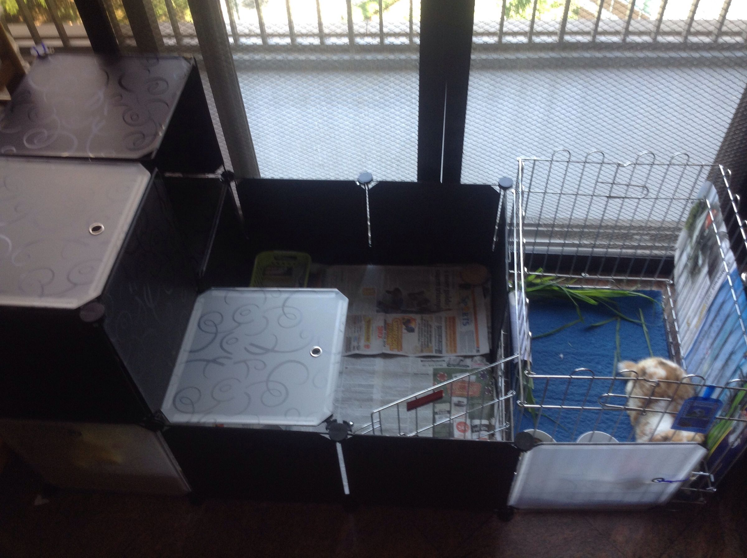 A New Type of Rabbit Cage Design Using Storage Cubes.