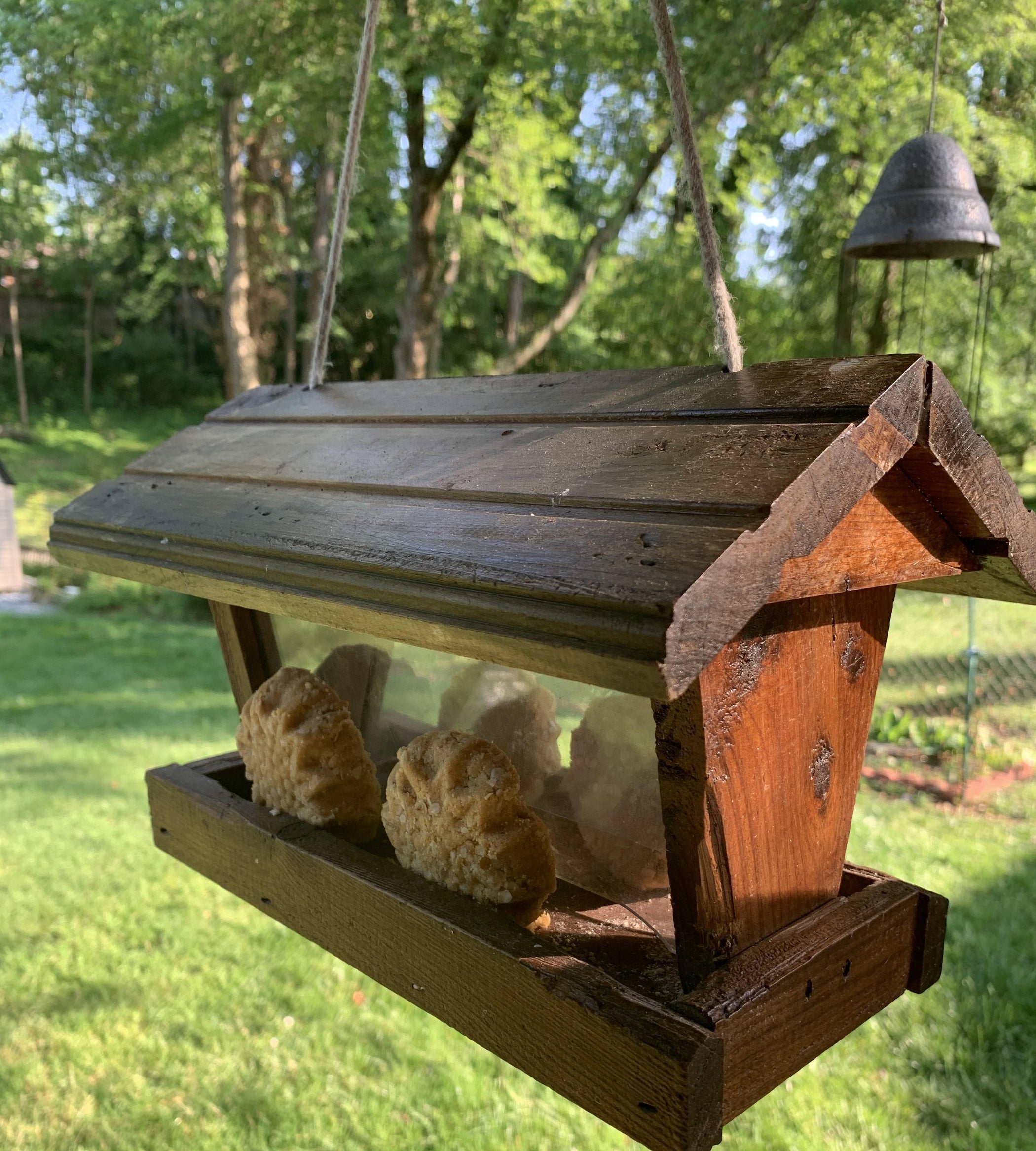 Easy Suet for the Birds 13 Steps (with Pictures) Instructables