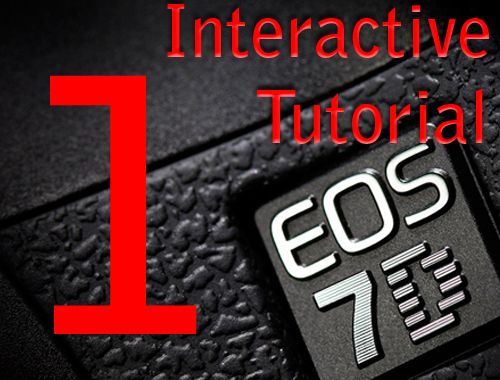 Canon 7D - Prepare Camera to Shoot in Video Mode