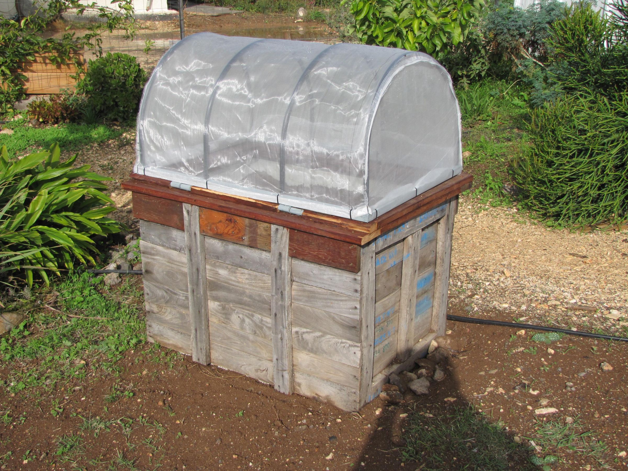 Aldi Drop Over Greenhouse (Raised Bed Covers) Review - Bunny's Garden, image size:1024x768
