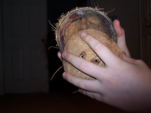 Monty Python Coconuts