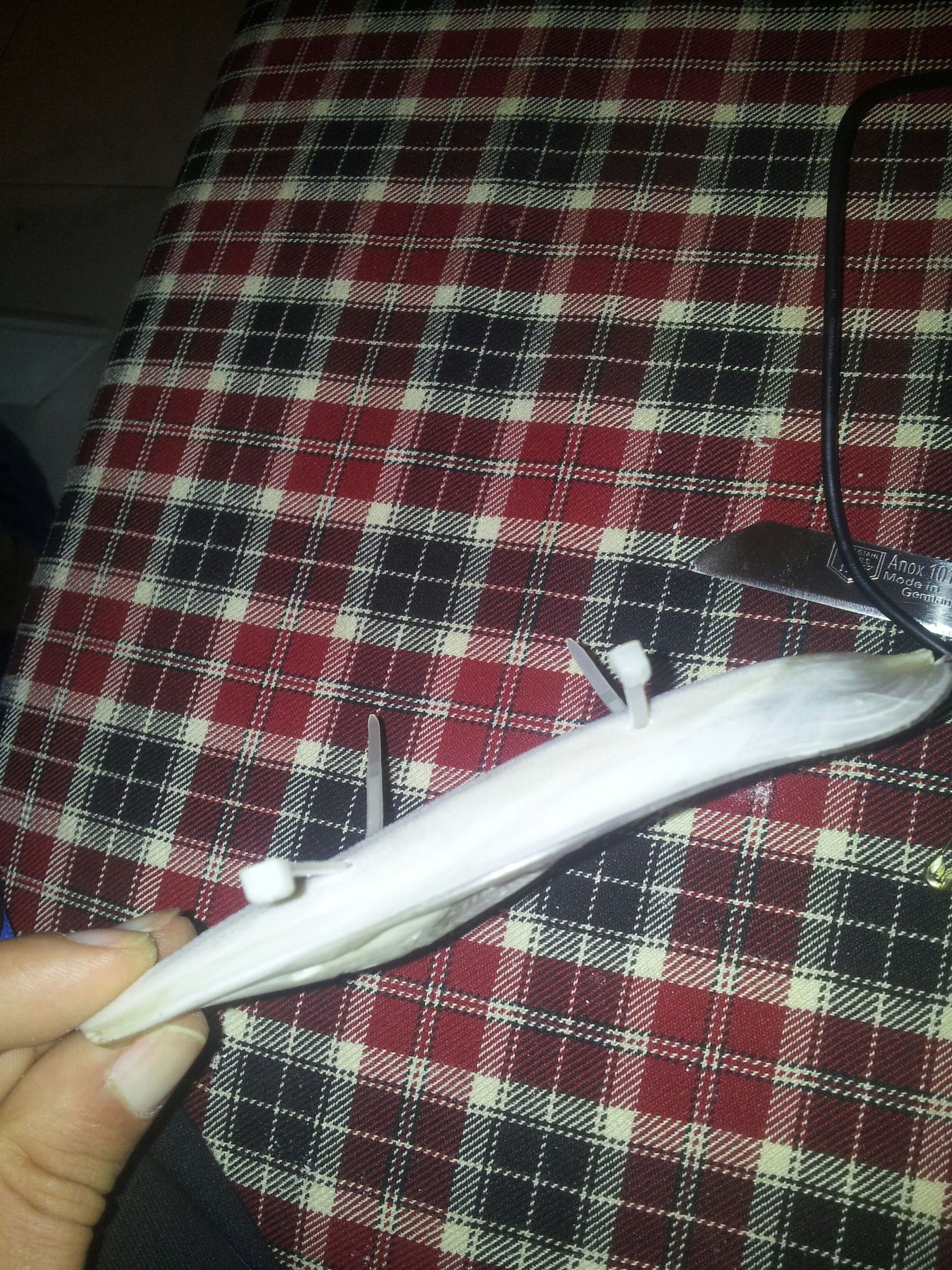 how to attach a cuttlebone to a bird cage iucnccsg