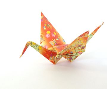 Model Complete!!
