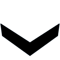 download {{ file.name }}