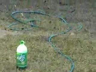 Make a Crazy Chemical Reaction