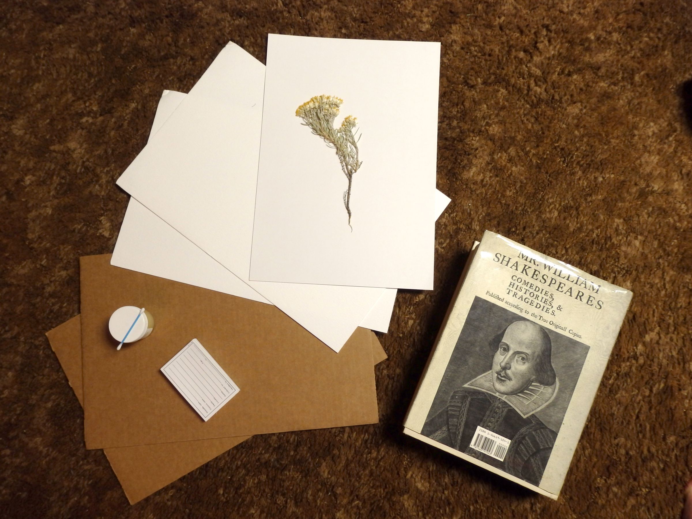 How to Mount Plants 11 Steps (with Pictures) Instructables