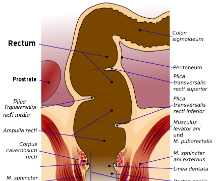 Cure Constipation With Liquids
