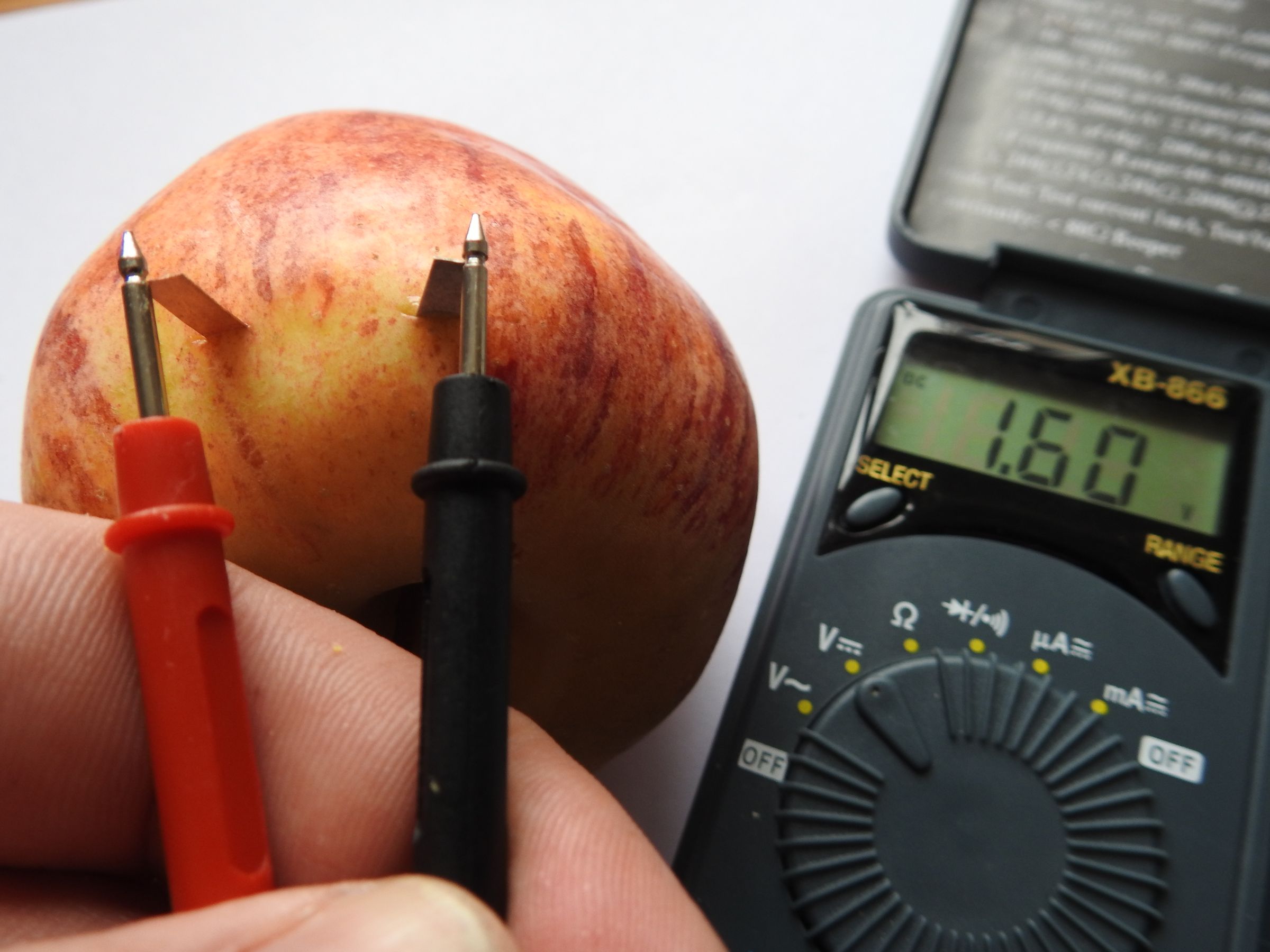 Greenest Energy in the Earth Vegetable Battery (MEDELIS BATTERY Green