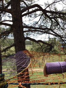 Tree Net : 5 Steps (with Pictures) - Instructables