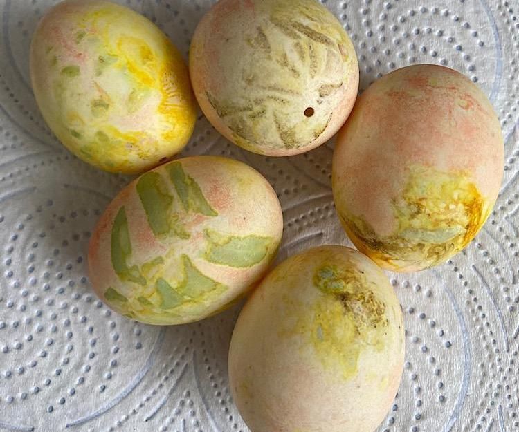 Paint With What Nature Gives