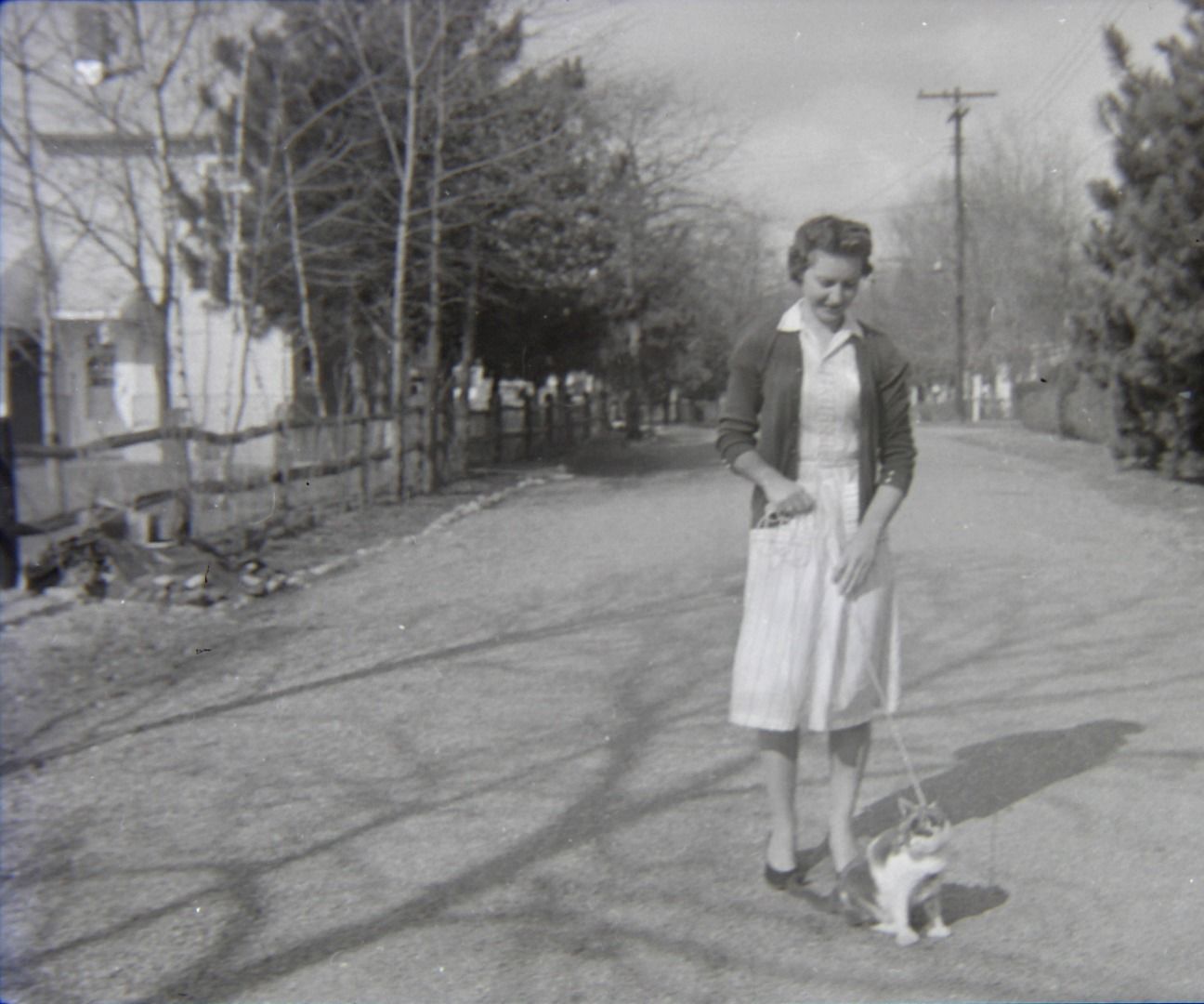 Large Format Negative Digitization