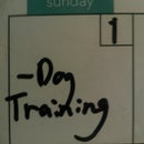 Oops! Erase Sharpie Marks on a White Board