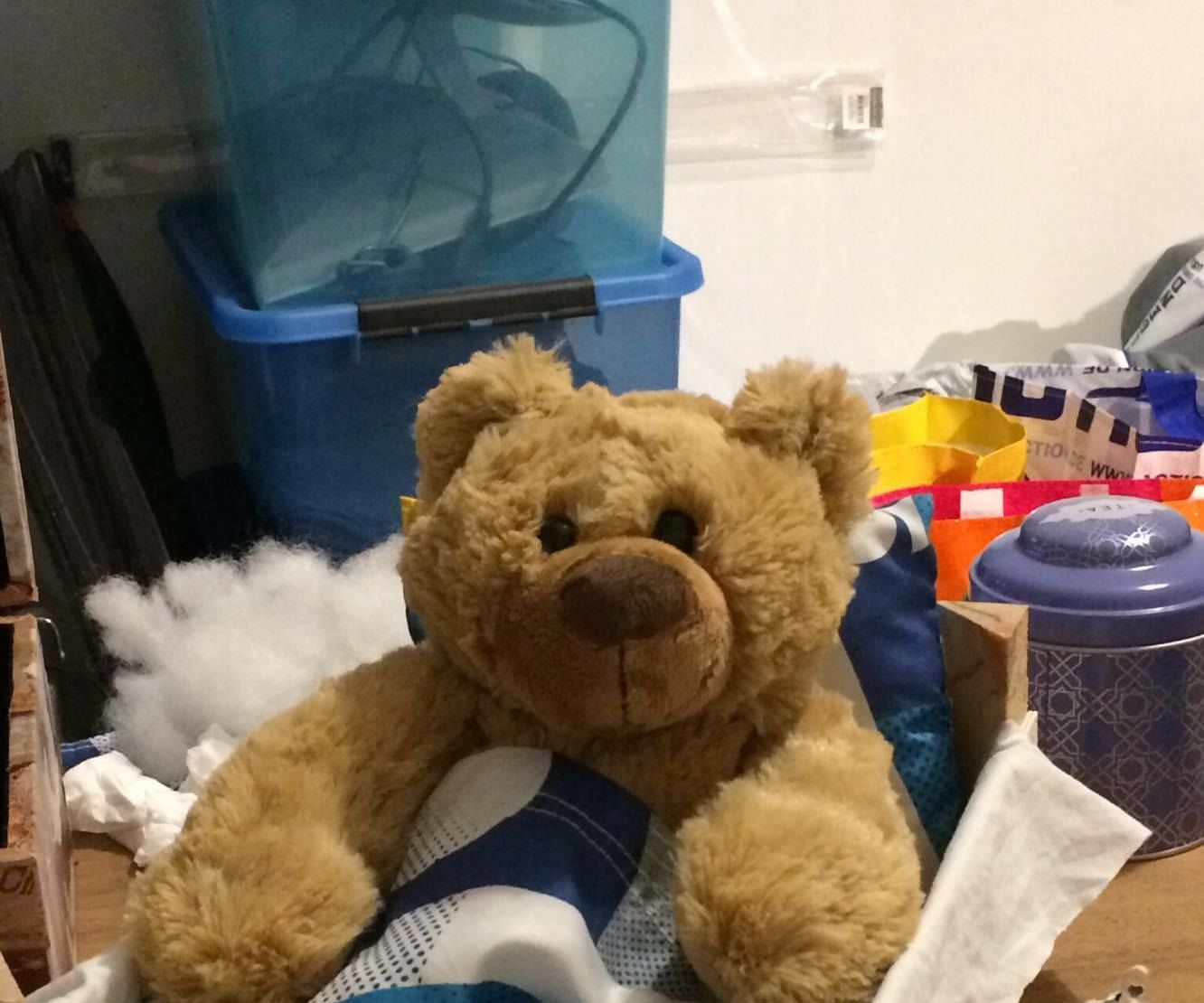 Pebbles the Sleepytime Bear