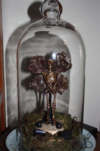 Mummified Fairy