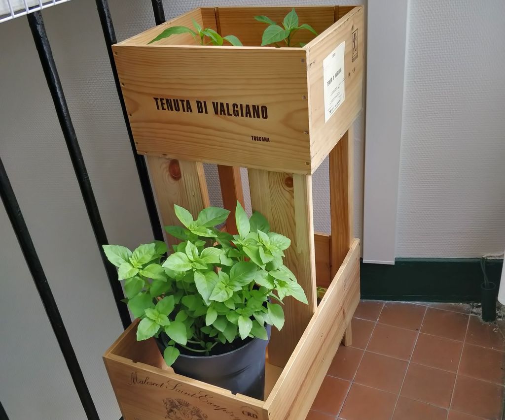 Home Garden With Recycled Wine Boxes 4 Steps (with Pictures