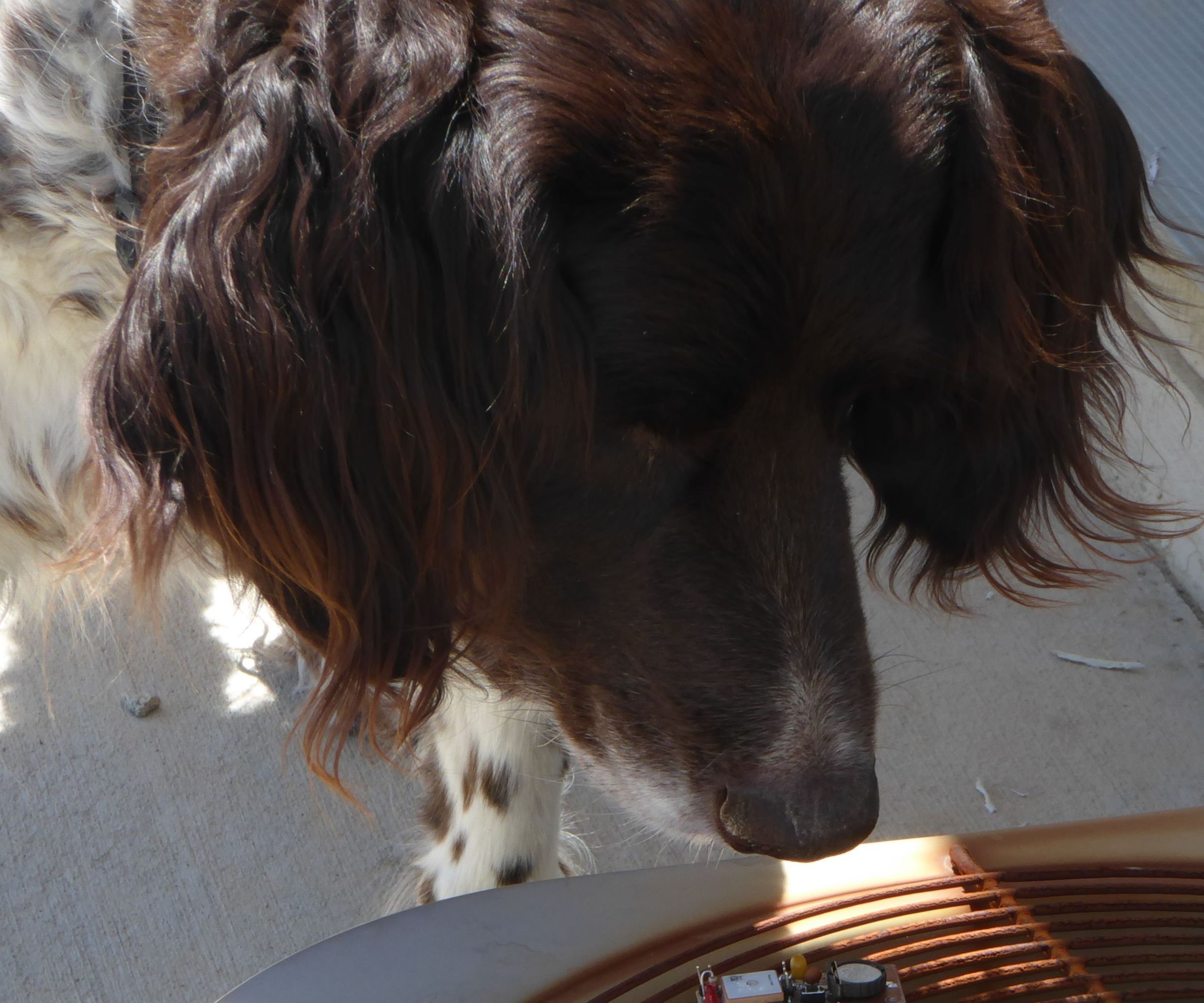 Old Man and the Arduino GPS