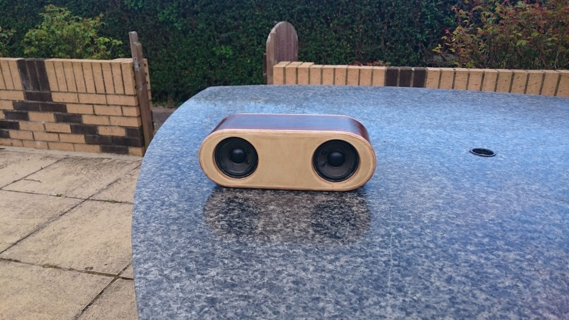 Portable Bluetooth Speaker 