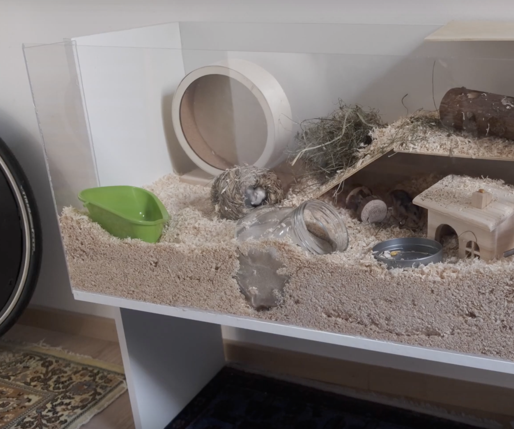 DIY Hamster Cage 4 Steps Instructables