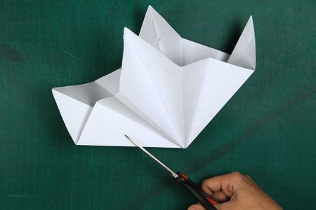 Flip and Cut
