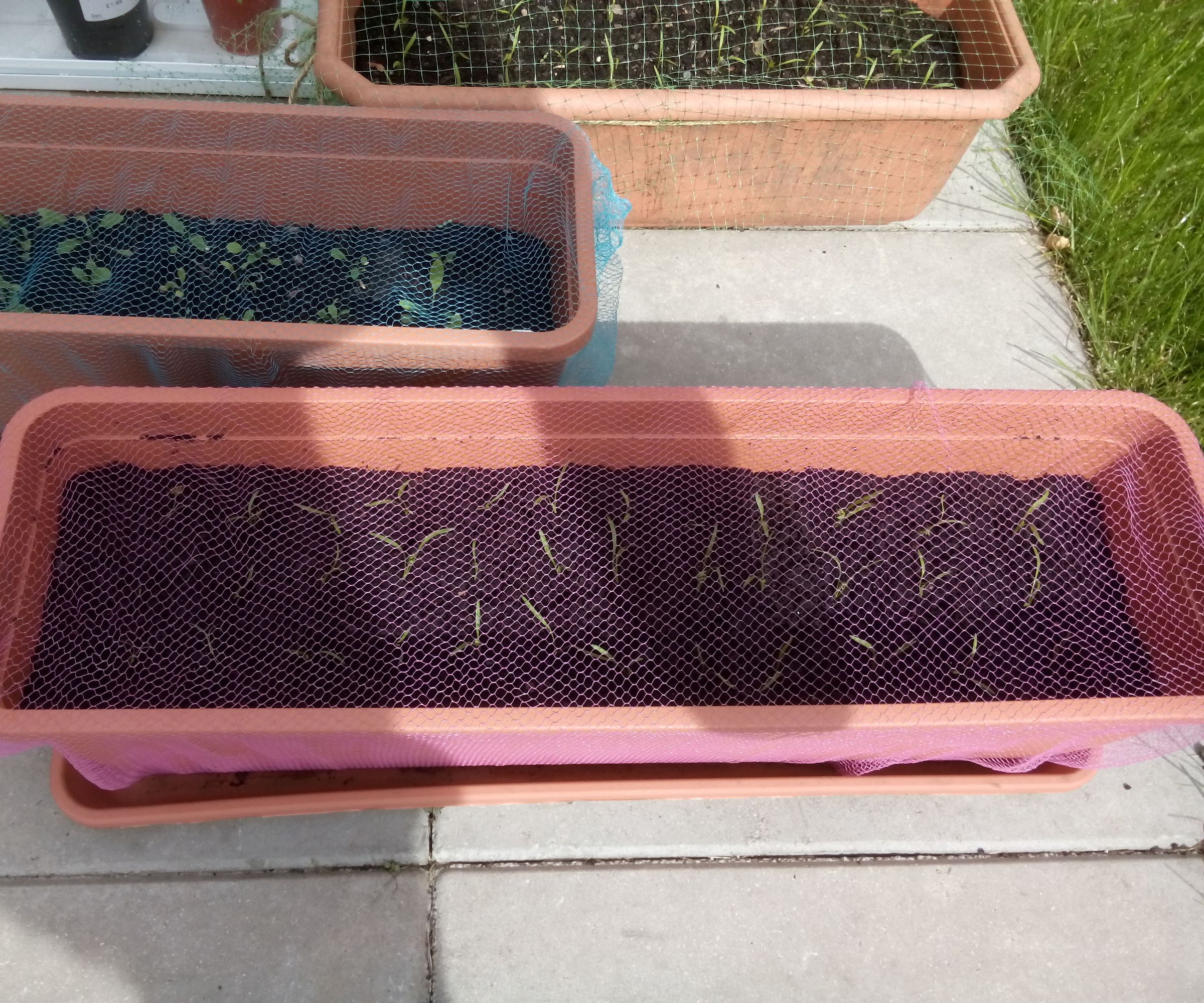 Make a Seedling Net From a Body Pouf