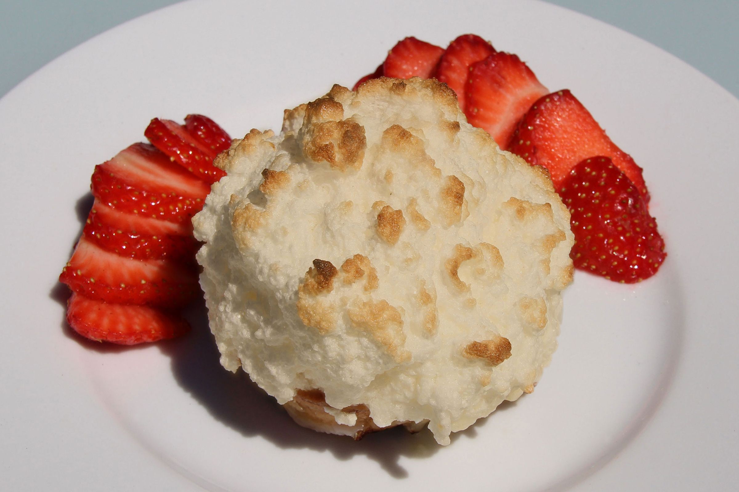 Grilled Ice Cream