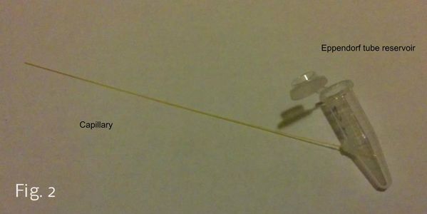 Capillary Electrophoresis : 7 Steps - Instructables