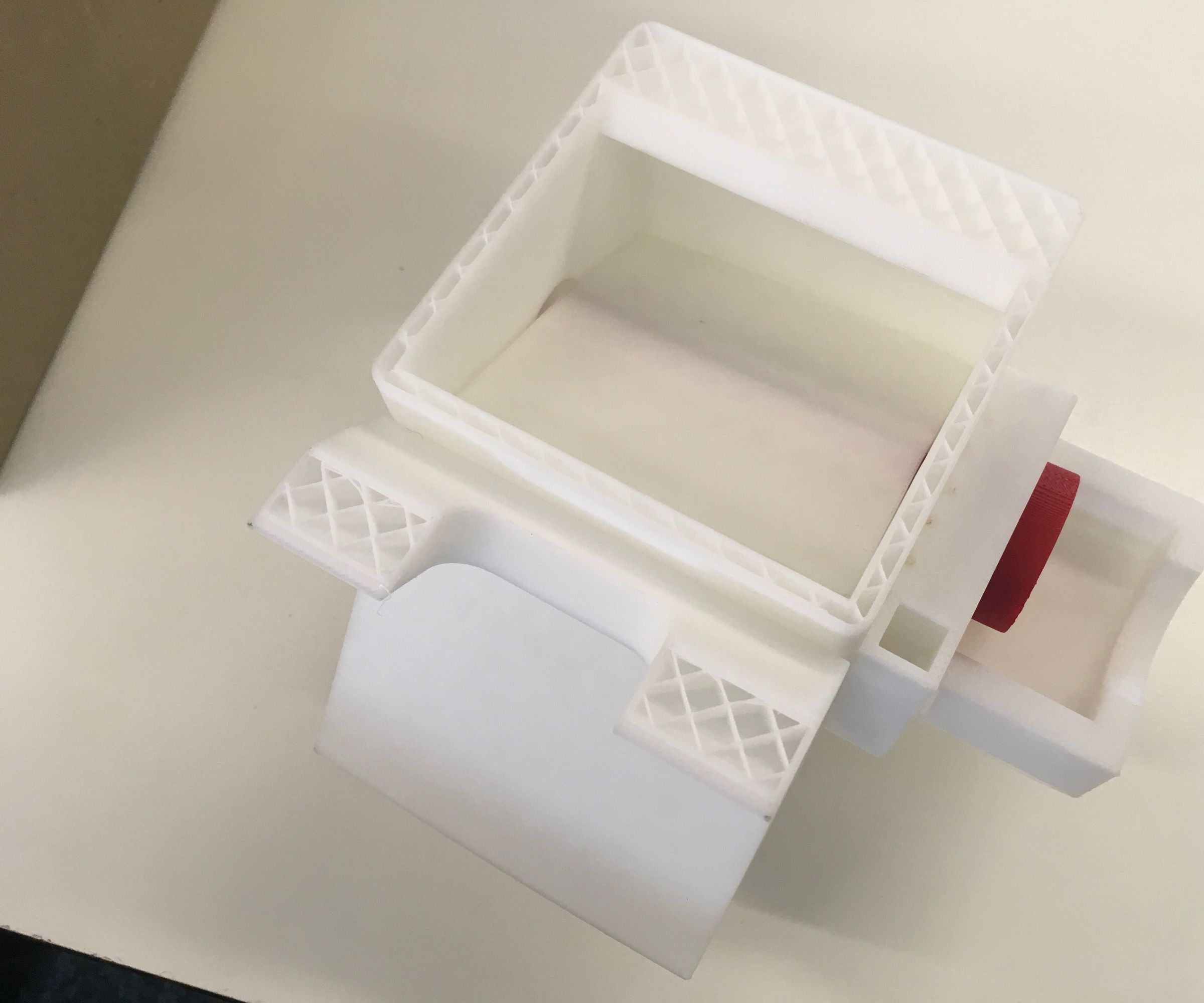 Automatic Dog Feeder