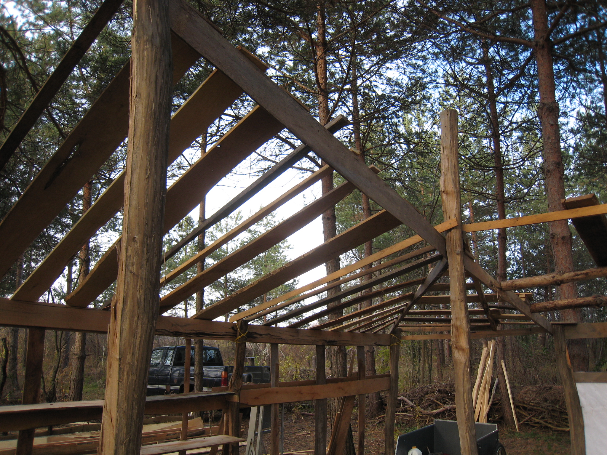 $100 cabin made of Black Locust and old billboard
