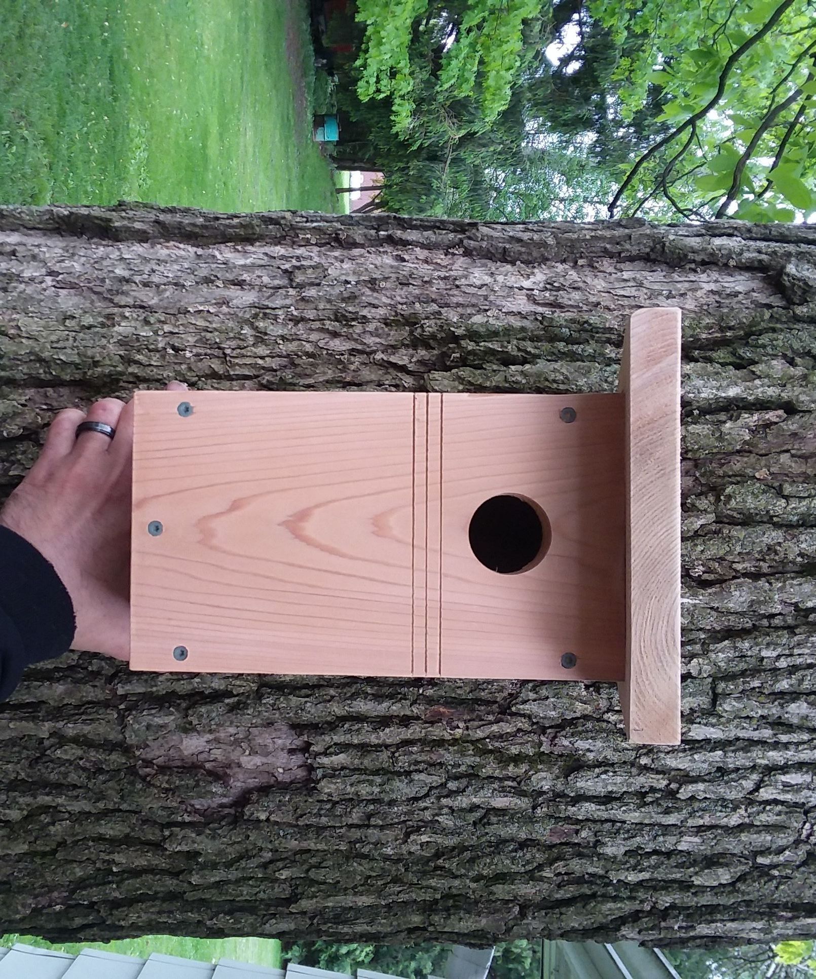 How to Build a Bluebird Birdhouse