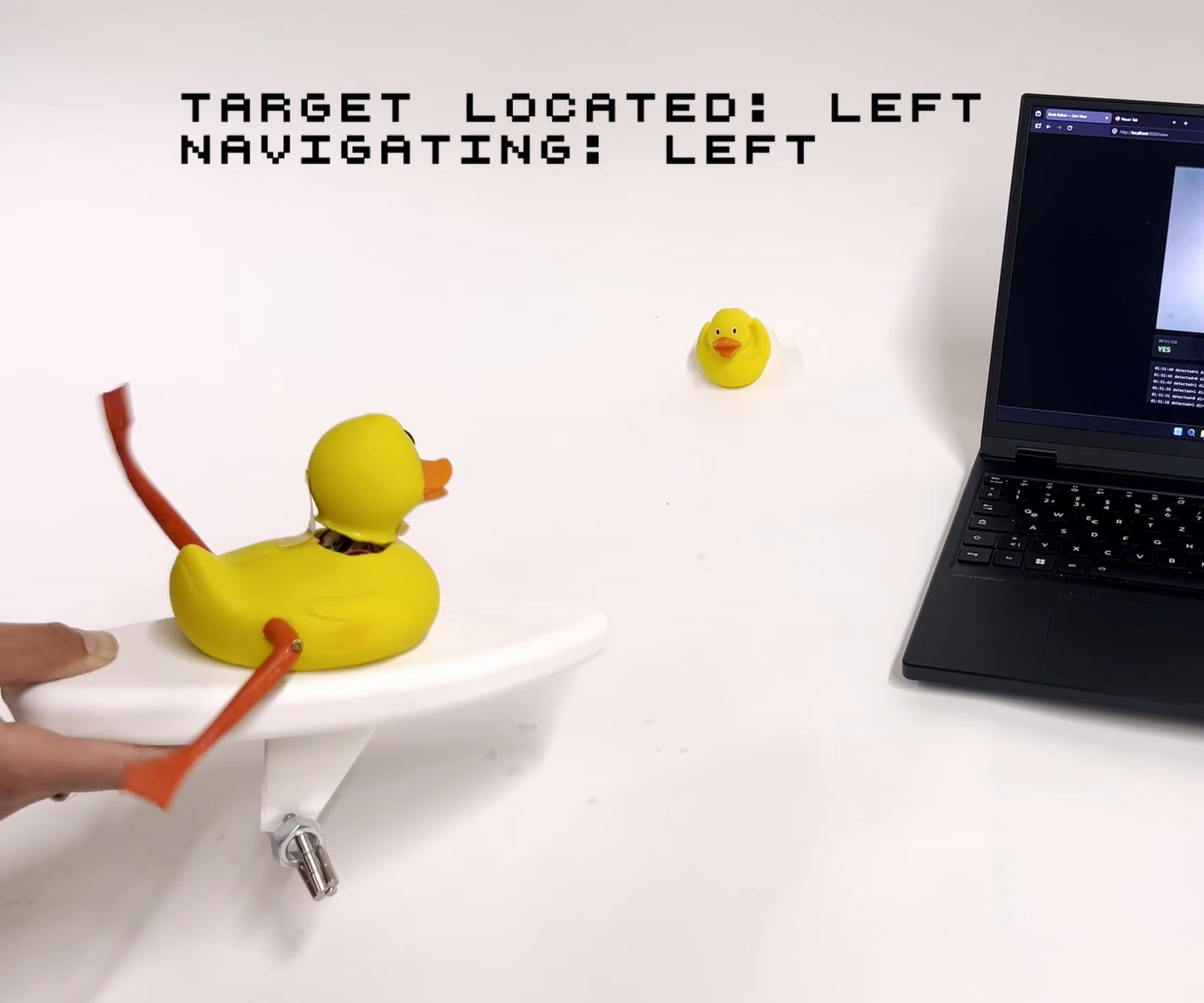 Surfing Cyber-Duck