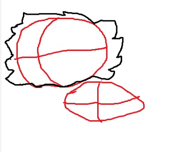 How to Draw a Cat