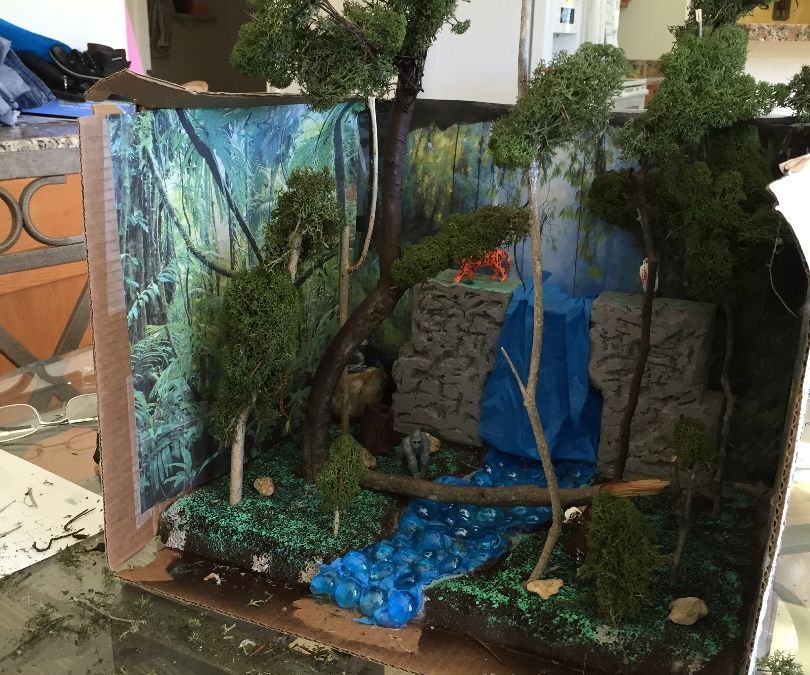 Rain Forest Diorama