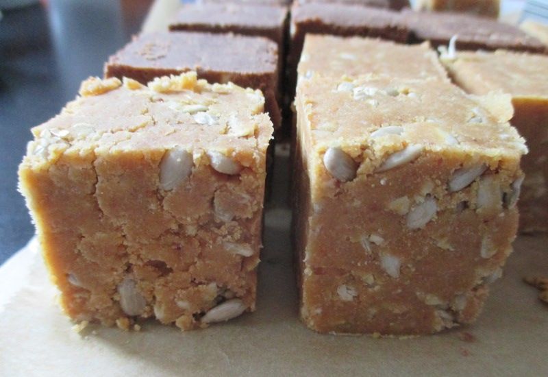 Protein/Energy Bars (T-rex's 'grey Cubes')