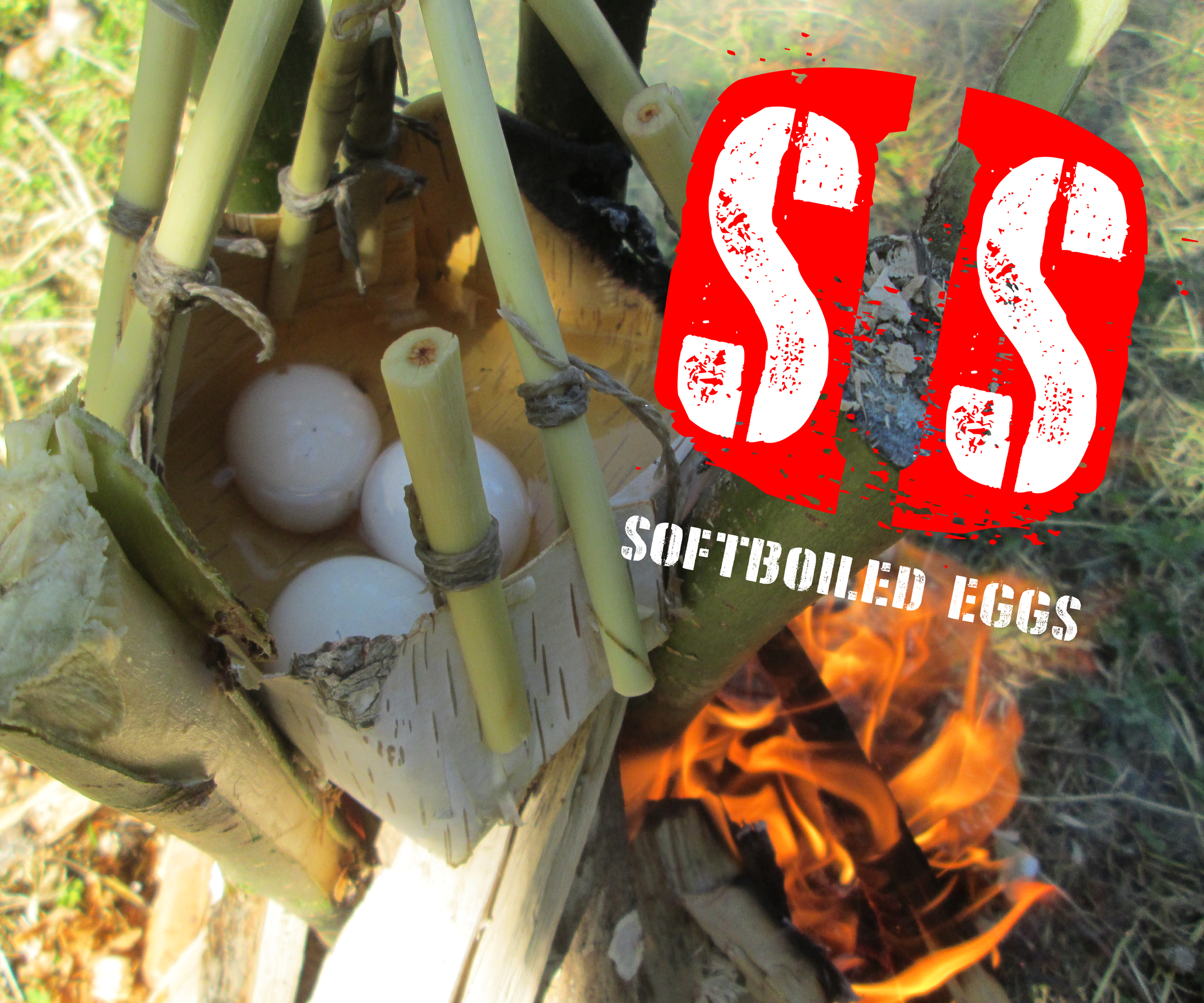 Survive in Style (1) - Softboiled Eggs