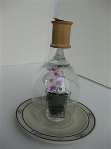 Other Examples of Shot & Wine Glass Terrarium / Seed Starter