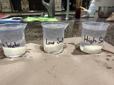 Watch for Changes: Make Observations