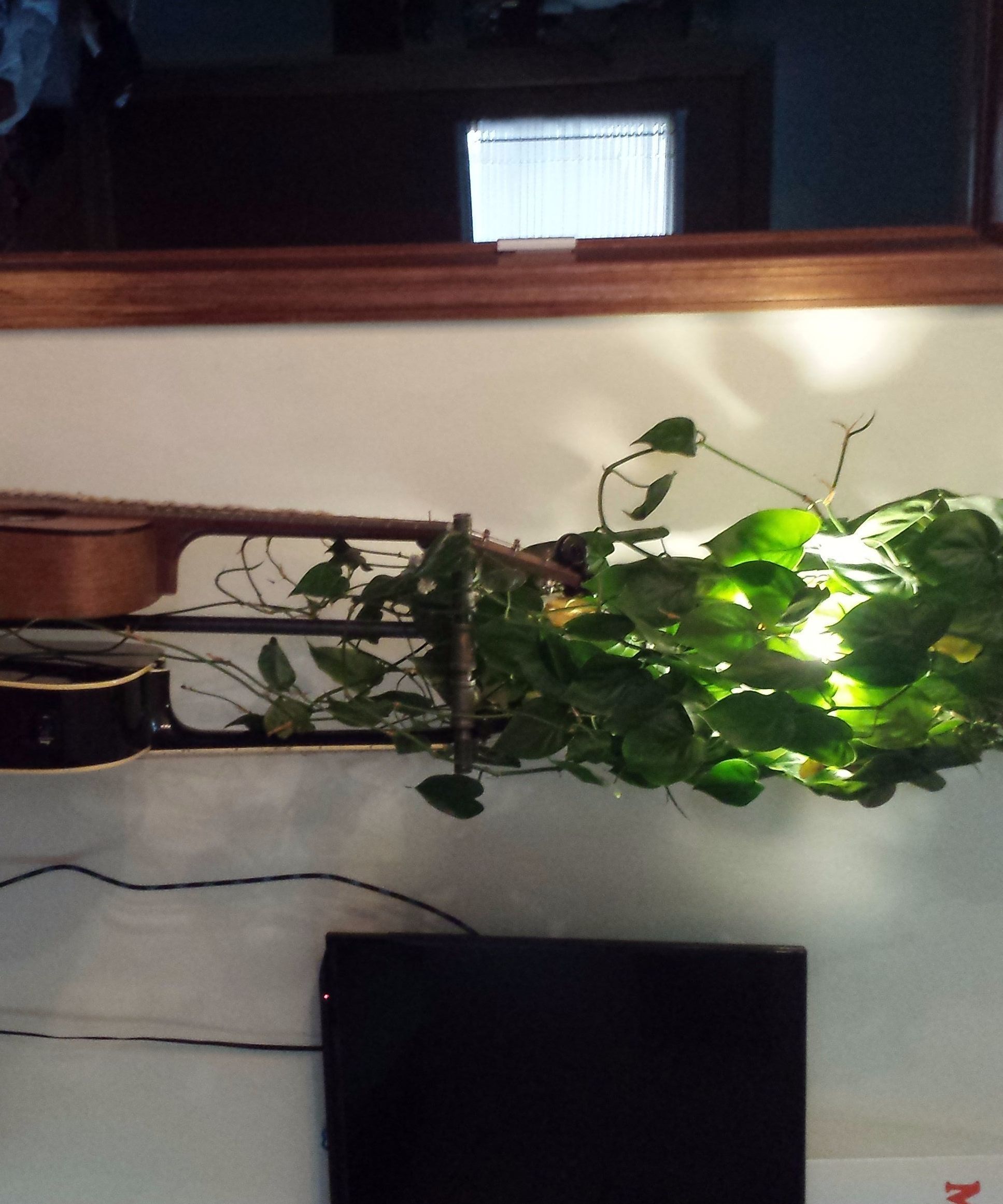 Plant Lamp Jam Stand